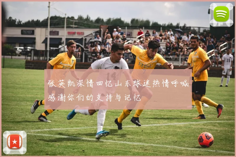 张英凯深情回忆山东球迷热情呼喊感谢你们的支持与记忆