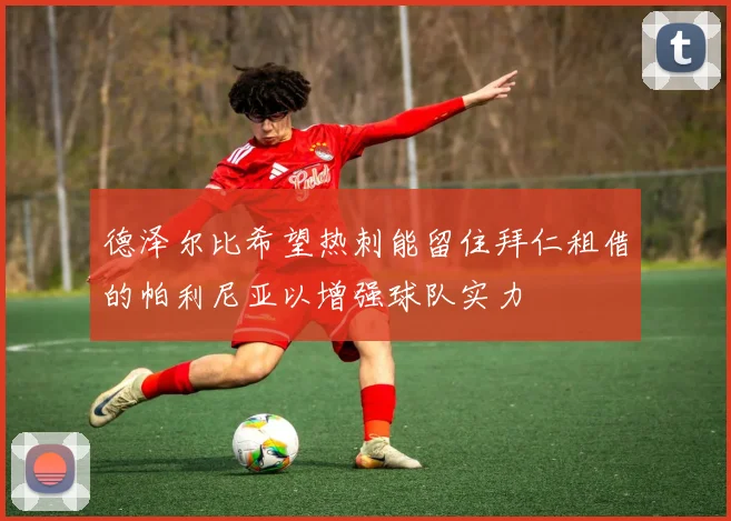德泽尔比希望热刺能留住拜仁租借的帕利尼亚以增强球队实力